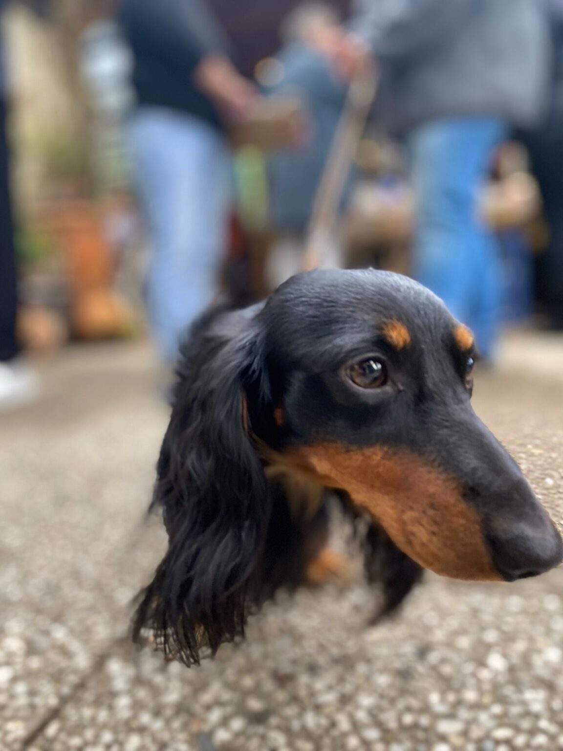 c505611e-f3fc-4577-b015-d9fc0ddb0f2f