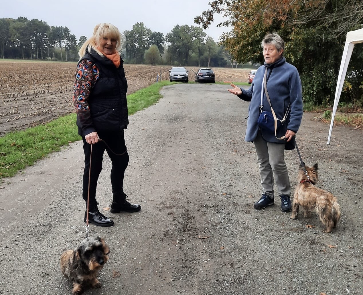 d8543df4-f3f5-4c41-ad87-bdcd455be53b