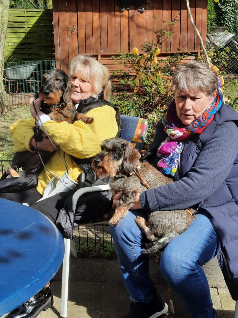 cda2d671-7b7e-402c-86de-7a90bb8bdda0