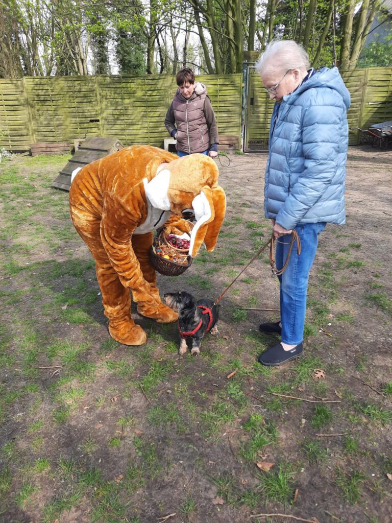 dd11a195-eb1b-4179-8a13-8f1e99ac7812