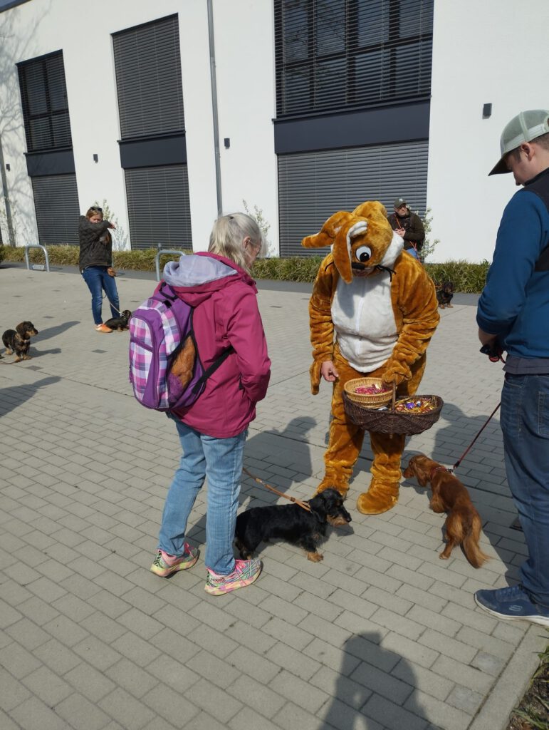 ef086ff5-045f-41d2-a206-ff2b7b026137